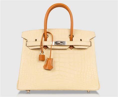 hermes swift birkin|birkin bag hermes designer.